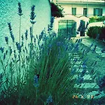 Casa Sui Tetti *