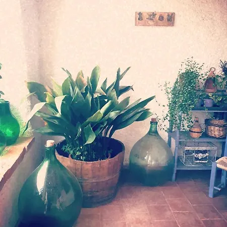 Couette-café Casa Sui Tetti