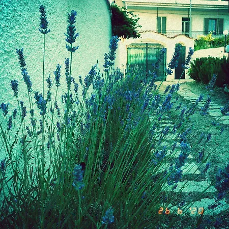 Casa Sui Tetti *