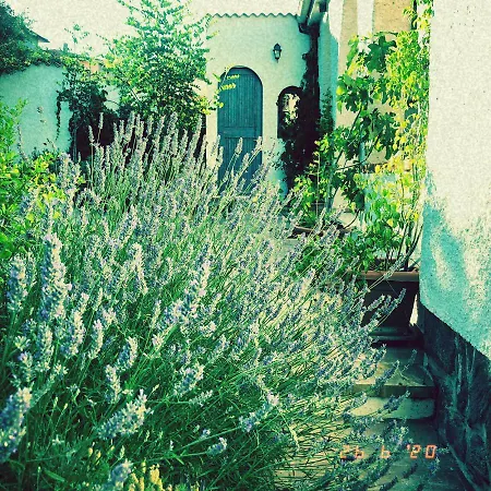 Casa Sui Tetti Oda ve Kahvaltı Ozieri