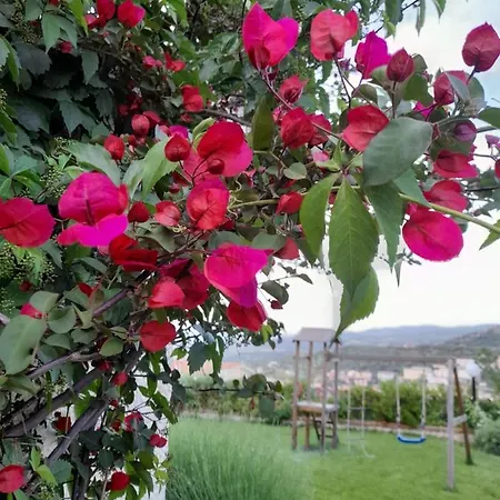 Casa Sui Tetti Bed & Breakfast *