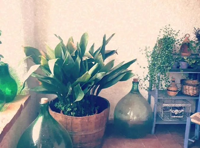 ベッド・アンド・ブレックファスト Casa Sui Tetti