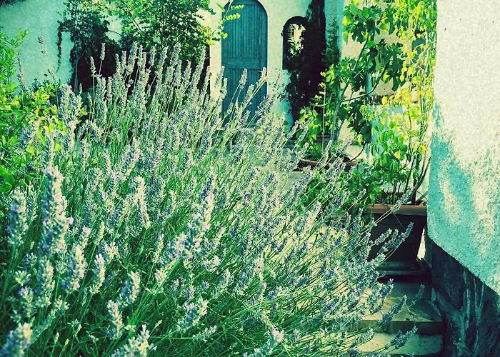 Casa Sui Tetti ベッド・アンド・ブレックファスト オツィエーリ