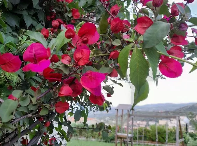 Casa Sui Tetti ベッド・アンド・ブレックファスト *