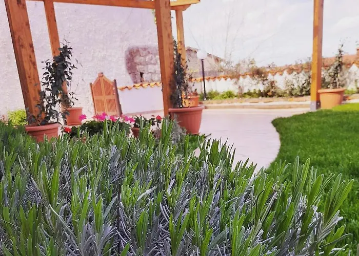 Casa Sui Tetti * オツィエーリ